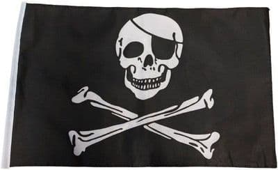 Skull and Crossbones Pirate Flag - 17