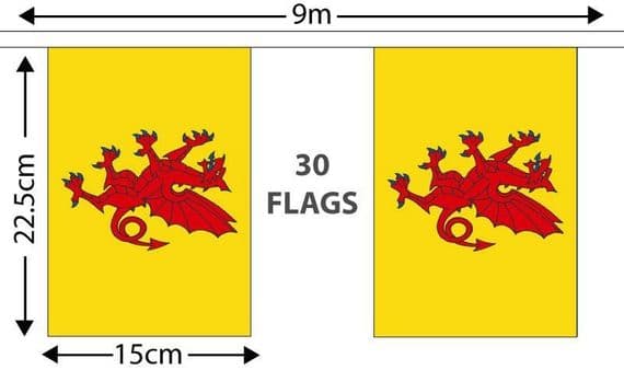 Somerset Bunting | Buy Somerset Bunting | North West Flags