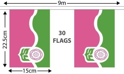 South Yorkshire Bunting 9m