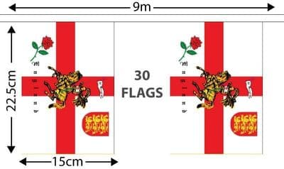 St George Charger Bunting 9m