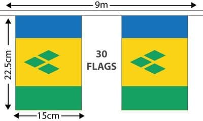 St Vincent Bunting (9m)