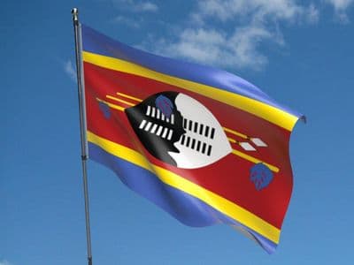 Swaziland 5ft x 3ft Flag