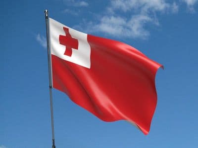 Tonga 5ft x 3ft Flag