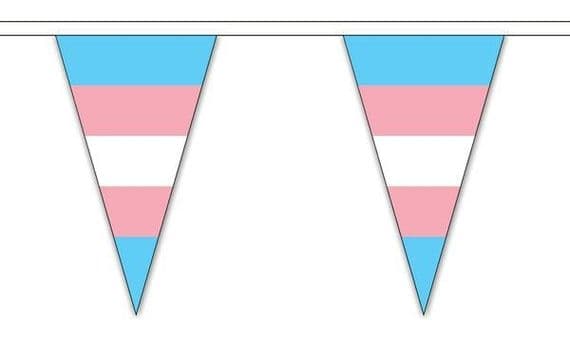 Transgender Triangle 5m Bunting | Buy Transgender Triangle Bunting