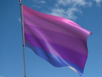 Transgender Flag 5ft x 3ft