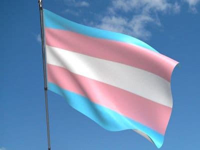 Transgender (New) 5ft x 3ft Flag
