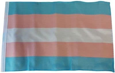 Transgender New Flag - 17