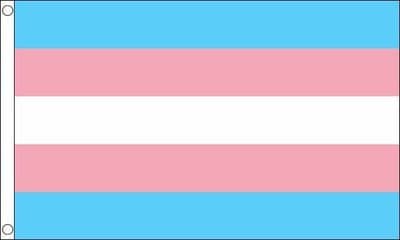 Transgender New VALUE Flag - 3ft x 2ft