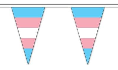 Transgender Triangle Bunting (20m) - 54 Flags
