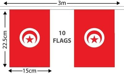 Tunisia Bunting 3m