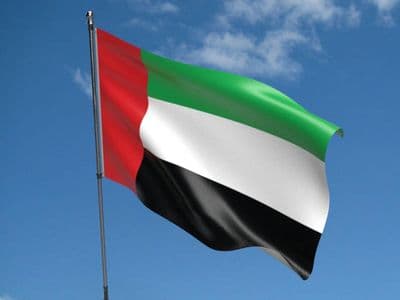 United Arab Emirates 5ft x 3ft Flag