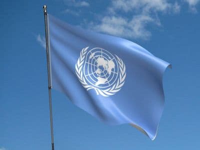 United Nations 5ft x 3ft Flag