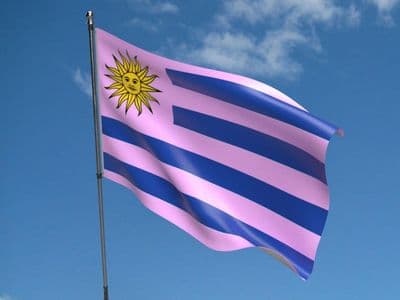 Uruguay 5ft x 3ft Flag