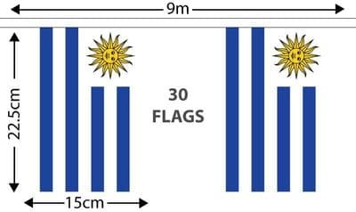 Uruguay Bunting 9m