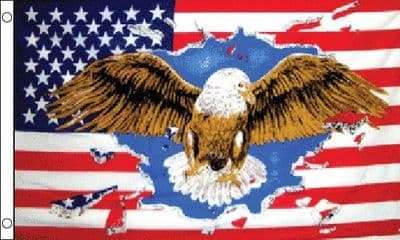 USA Eagle Flag 5ft x 3ft
