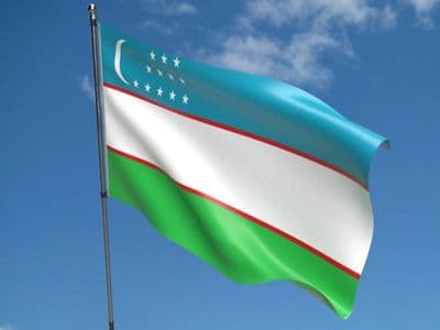 Uzbekistan Flag 5ft x 3ft
