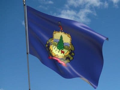 Vermont State 5ft x 3ft Flag