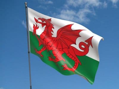 Wales 5ft x 3ft Flag