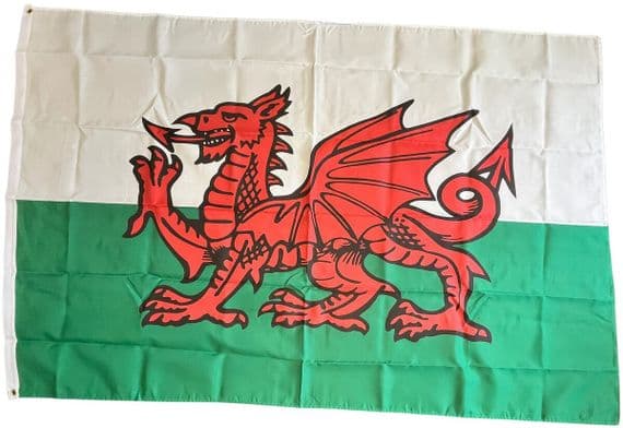 Buy Wales 6ft x 4ft Flag | Welsh 6ft x 4ft Flag | NWFlags