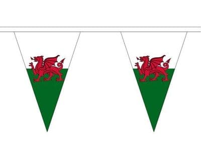 Wales Bunting Triangle 5m - 12 Flags