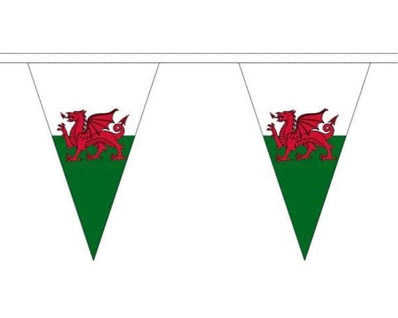 Wales Triangle 5m Bunting | Buy Wales Triangle 5m Bunting | NWFlags