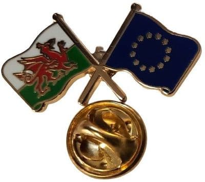 Wales & European Union Pin Badge