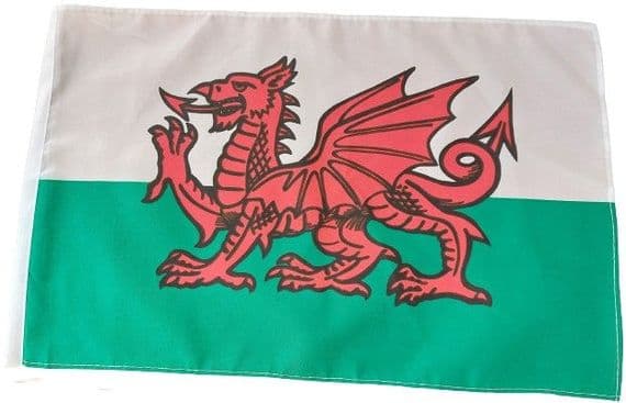Wales 1ft Flag | Buy Wales 1ft Flag | North West Flags
