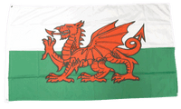 Wales Flag 5ft x 3ft | Buy Wales Value Flag | North West Flags