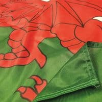 Wales Heavy Duty Flag | Buy Wales Heavy Duty Flag | North West Flags