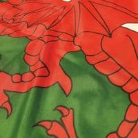 Wales Heavy Duty Flag | Buy Wales Heavy Duty Flag | North West Flags