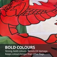 Wales Heavy Duty Flag | Buy Wales Heavy Duty Flag | North West Flags