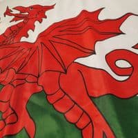 Wales Heavy Duty Flag | Buy Wales Heavy Duty Flag | North West Flags