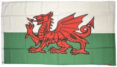 Wales Flag - 5ft x 3ft | Standard Polyester