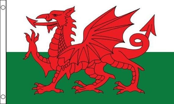 Wales Flag Small | Buy Wales Flag Small | North West Flags