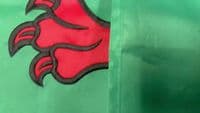 Welsh Dragon Sewn Nylon Flag with Eyelets - 5ft x 3ft | NWFlags