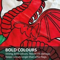 Welsh Dragon Sewn Nylon Flag with Eyelets - 5ft x 3ft | NWFlags