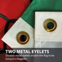 Welsh Dragon Sewn Nylon Flag with Eyelets - 5ft x 3ft | NWFlags