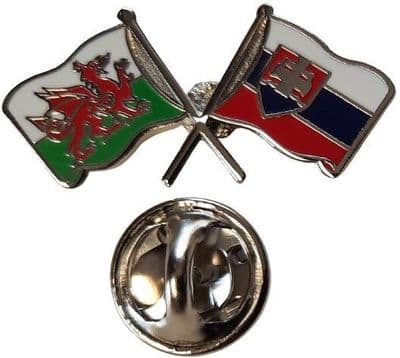 Wales & Slovakia Pin Badge
