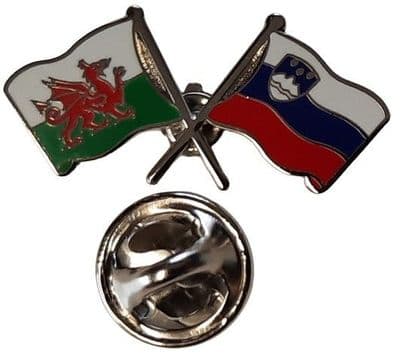 Wales & Slovenia Pin Badge