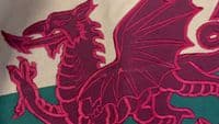 Wales Vintage Look Flag - 19in x 12in | NWFlags