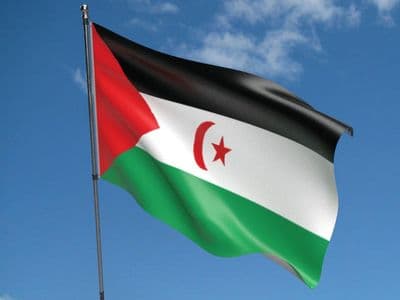 Western Sahara Flag 5ft x 3ft