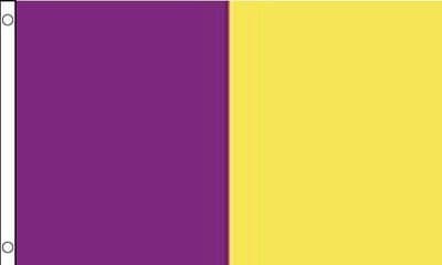 Wexford 5ft x 3ft Flag - Purple and Gold