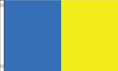 Wicklow 5ft x 3ft Flag - Blue and Yellow