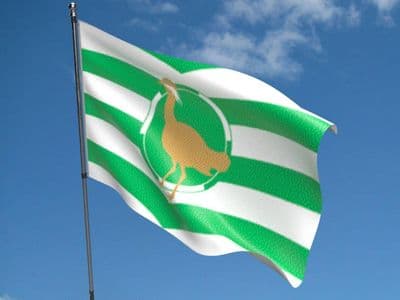 Wiltshire Flag 5ft x 3ft