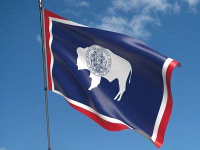 Wyoming Flag 5ft x 3ft