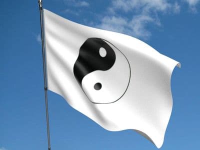 Yin and Yang White Flag 5ft x 3ft