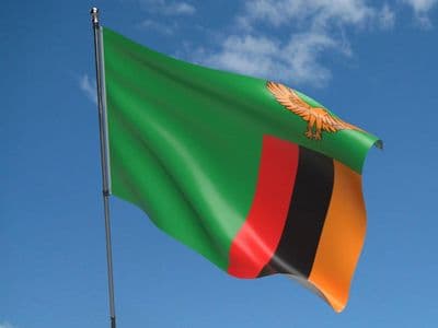 Zambia Flag 5ft x 3ft