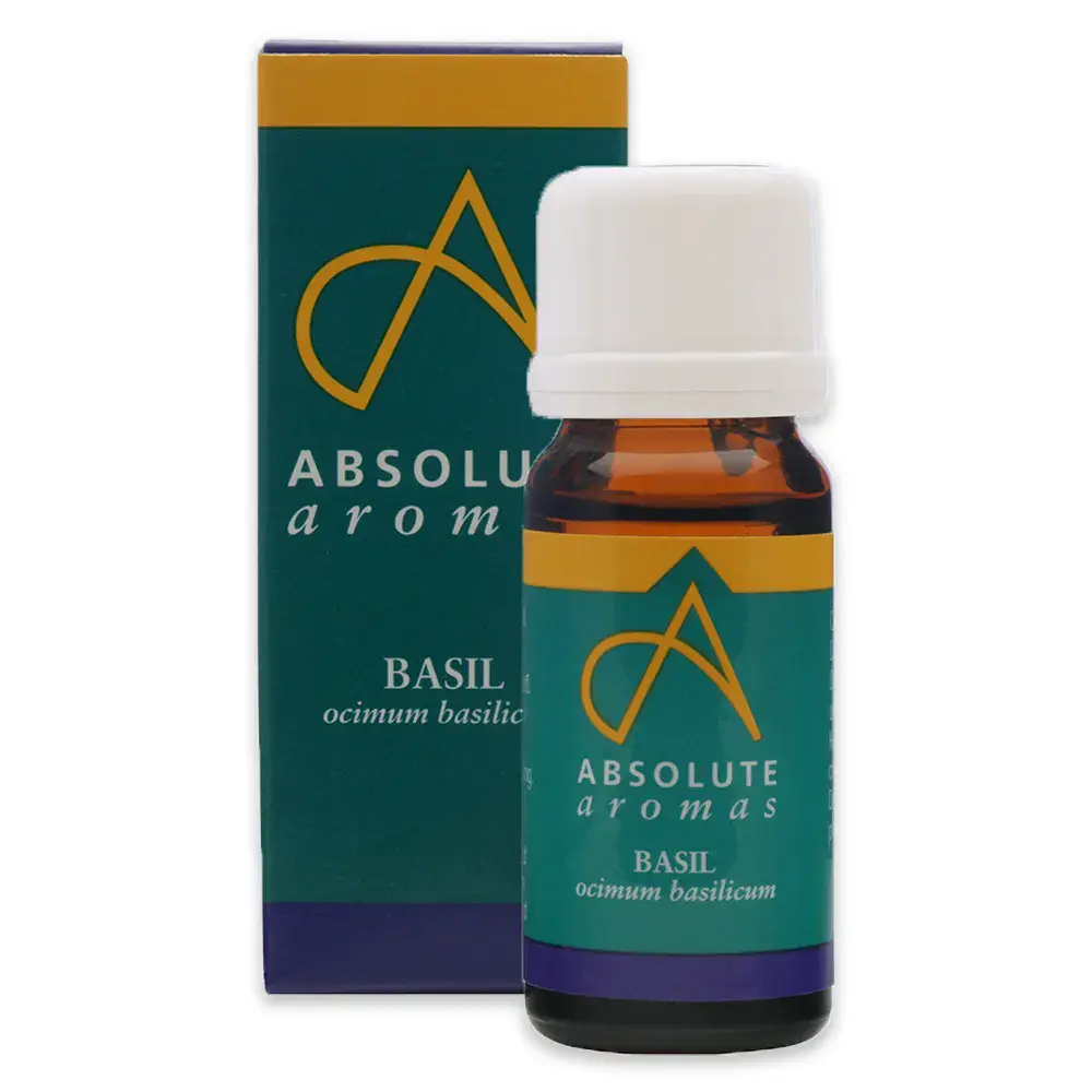 Absolute Aromas Basil Oil 10ml