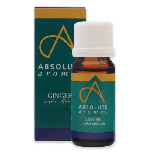 Absolute Aromas Ginger Oil 10ml