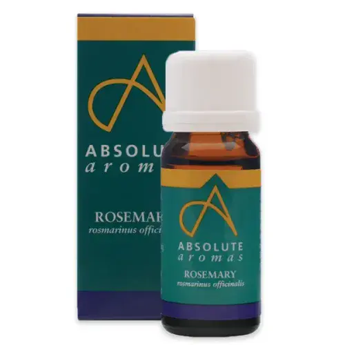 Absolute Aromas Rosemary Oil 10ml